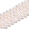 Natural Cultured Freshwater Pearl Beads Strands PEAR-N016-05B-2