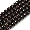 Natural Garnet Gemstone Bead Strands X-G-R263-10mm-1