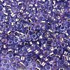 Glass Seed Beads SEED-S042-04A-08-3