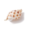 3Pcs Natural Shell Pendants PALLOY-JF03226-01-5