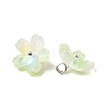 Glass Charms GLAA-G127-05B-2