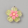 Transparent Resin Pendants RESI-TAC0002-84F-1