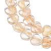 Transparent Handmade Lampwork Beads LA-CBAF0C8-01C-2