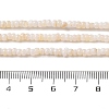 Natural Freshwater Shell Beads Strands X-SHEL-P017-01B-02-4