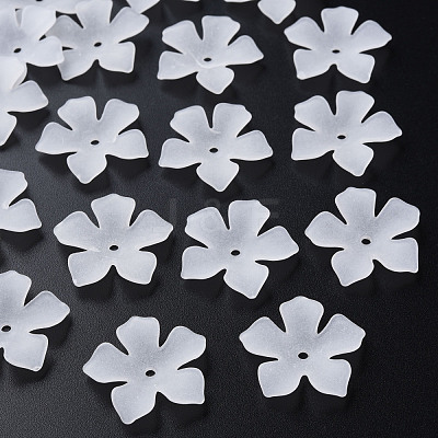Transparent Acrylic Beads MACR-S373-119-D01-1