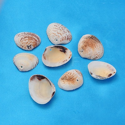Natural Clam Shell Beads BSHE-S114-1
