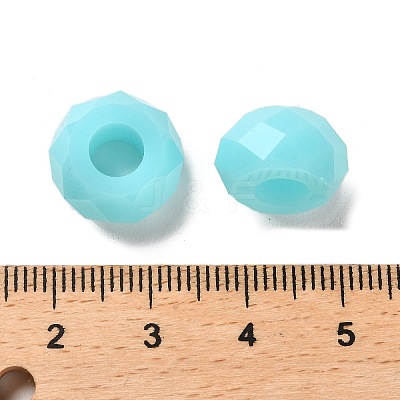 Resin European Beads RESI-B020-06C-1