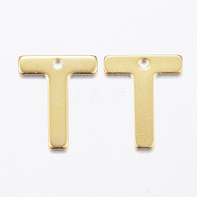 304 Stainless Steel Charms X-STAS-P141-T-1