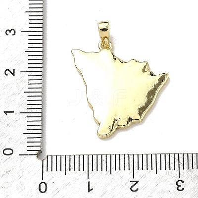 Brass Pendants KK-D235-08G-02-1