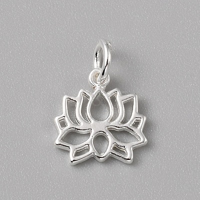 Brass Charms FIND-WH0159-63S-05-1