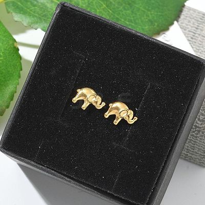 304 Stainless Steel Stud Earrings for Women LS-STAS-Z117-15G-04-1
