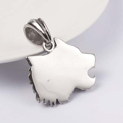 316 Surgical Stainless Steel Pendants STAS-L186-096AS-1
