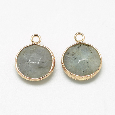 Natural Labradorite Pendants X-G-Q964-12G-1