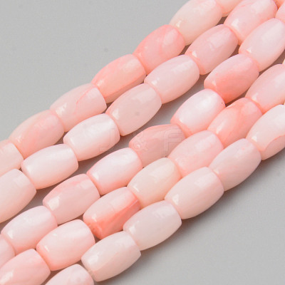 Natural Freshwater Shell Beads Strand X-SHEL-T017-39B-1