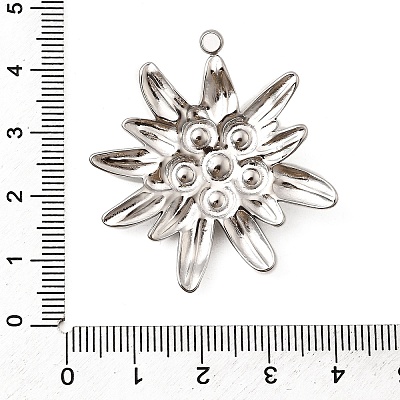 304 Stainless Steel Pendants STAS-Z149-05B-P-1