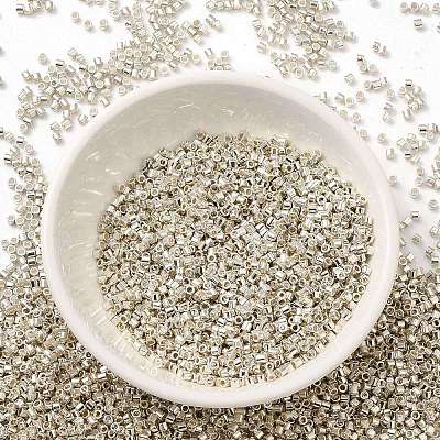 Electroplate Glass Seed Beads SEED-S042-01B-08-1