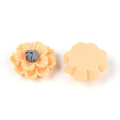 Resin Decoden Cabochons CRES-T025-04B-1