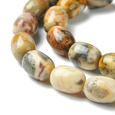 Barrel Shaped Gemstone Natural Crazy Lace Agate Beads Strands G-S114-08-1