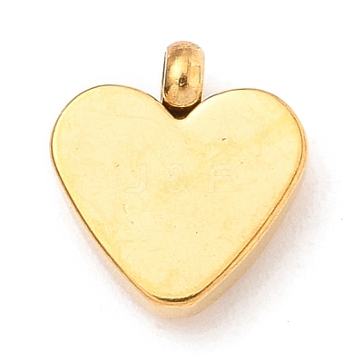 304 Stainless Steel Charms STAS-I165-05G-1