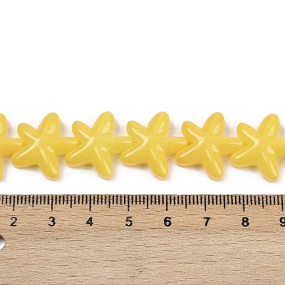 Baking Paint Glass Beads LAMP-C021-01J-1