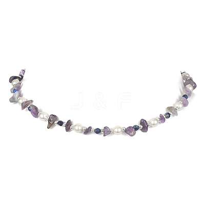 Natural Amethyst & Lapis Lazuli Chips & Shell Pearl Beaded Necklace for Women NJEW-TA00127-1