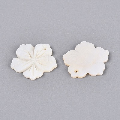 Sea Shell Pendants X-SSHEL-Q296-15-1