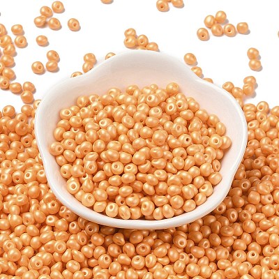 6/0 Glass Seed Beads SEED-L011-08A-19-1