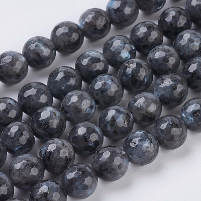 Natural Larvikite Beads Strands G-G542-10mm-27-1