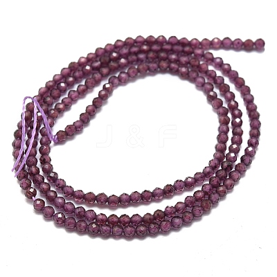 Natural Garnet Beads Strands X-G-O186-D01-1