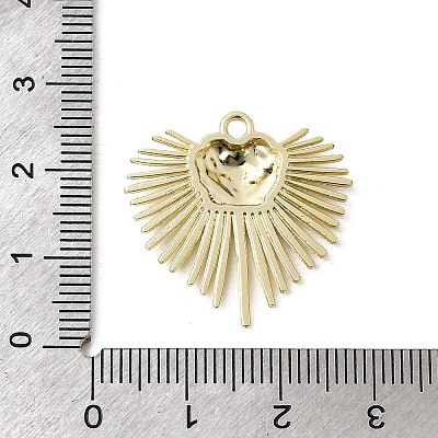 Alloy Pendants FIND-B060-06G-1