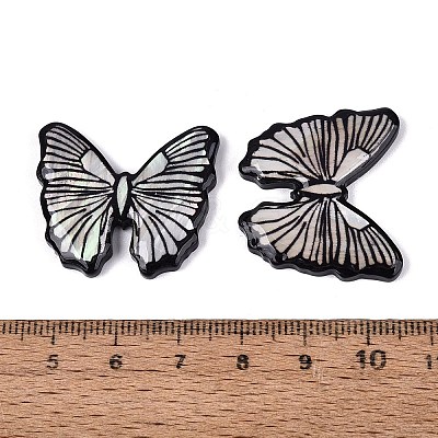 Acrylic & Natural Freshwater Shell Cabochons OACR-N164-07-1