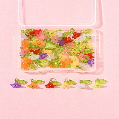 50Pcs Transparent Acrylic Pendants PALLOY-FS00043-06-1