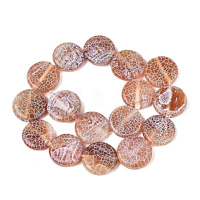 Natural Weathered Agate Beads Strands G-Q606-42D-1