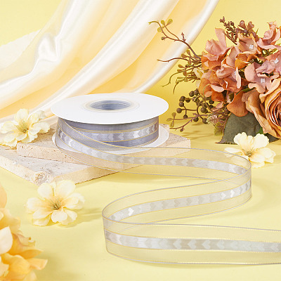 Polyester Lace Ribbon OCOR-TADJ0001-07I-1