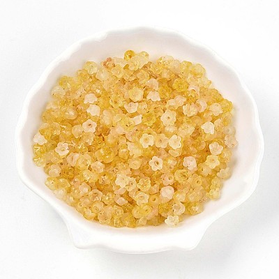 Frosted Transparent Acrylic Beads OACR-N137-72G-1