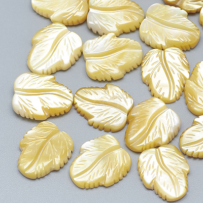 Yellow Shell Cabochons SSHEL-S260-103A-1