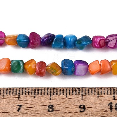 Natural Freshwater Shell Beads Strands SHEL-N037-04B-1