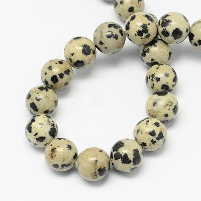 Natural Dalmatian Jasper Stone Bead Strands X-G-R193-14-4mm-1