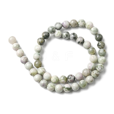 Natural Peace Jade Beads Strands G-E598-04B-1