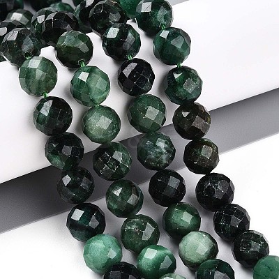 Natural Fuchsite Beads Strands G-S345-10mm-33-1