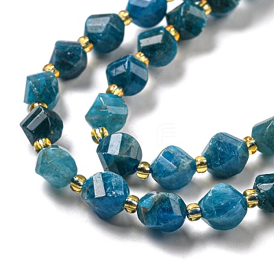 Natural Apatite Beads Strands G-M443-B06-02-1