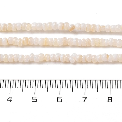 Natural Freshwater Shell Beads Strands X-SHEL-P017-01B-02-1