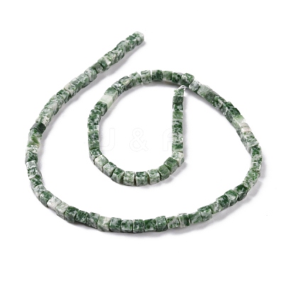 Natural Green Spot Jasper Beads Strands G-F631-K18-1