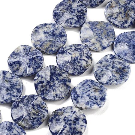 Natural Blue Spot Jasper Beads Strands G-Z061-B07-02-1