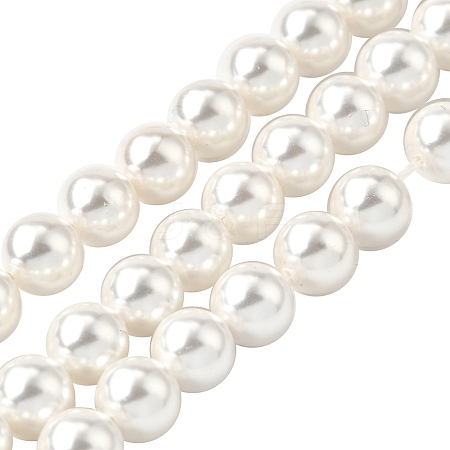 Rainbow Plated Shell Pearl Bead Strands X-BSHE-L025-02-8mm-1