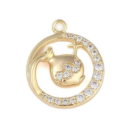 Brass Micro Pave Clear Cubic Zirconia Pendants FIND-B077-02G-06-1