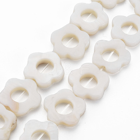 Freshwater Shell Beads Frames Strands SHEL-T009-14A-1