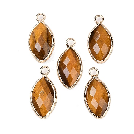 Natural Tiger Eye Faceted Pendants G-G193-01G-03-1