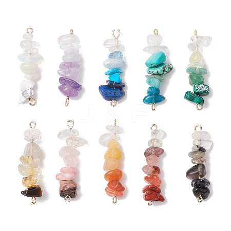 10Pcs 10 Styles Mixed Gemstone Chip Beaded Connector Charms PALLOY-JF02872-1