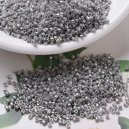 MIYUKI Delica Beads SEED-MY11-DB0251-1